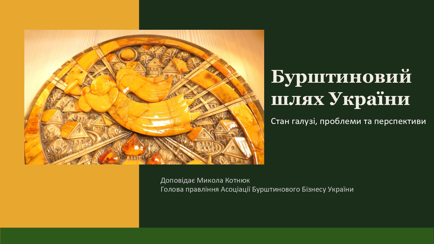 У межах «Простору молодого вченого» обговорили стан і перспективи бурштинового бізнесу