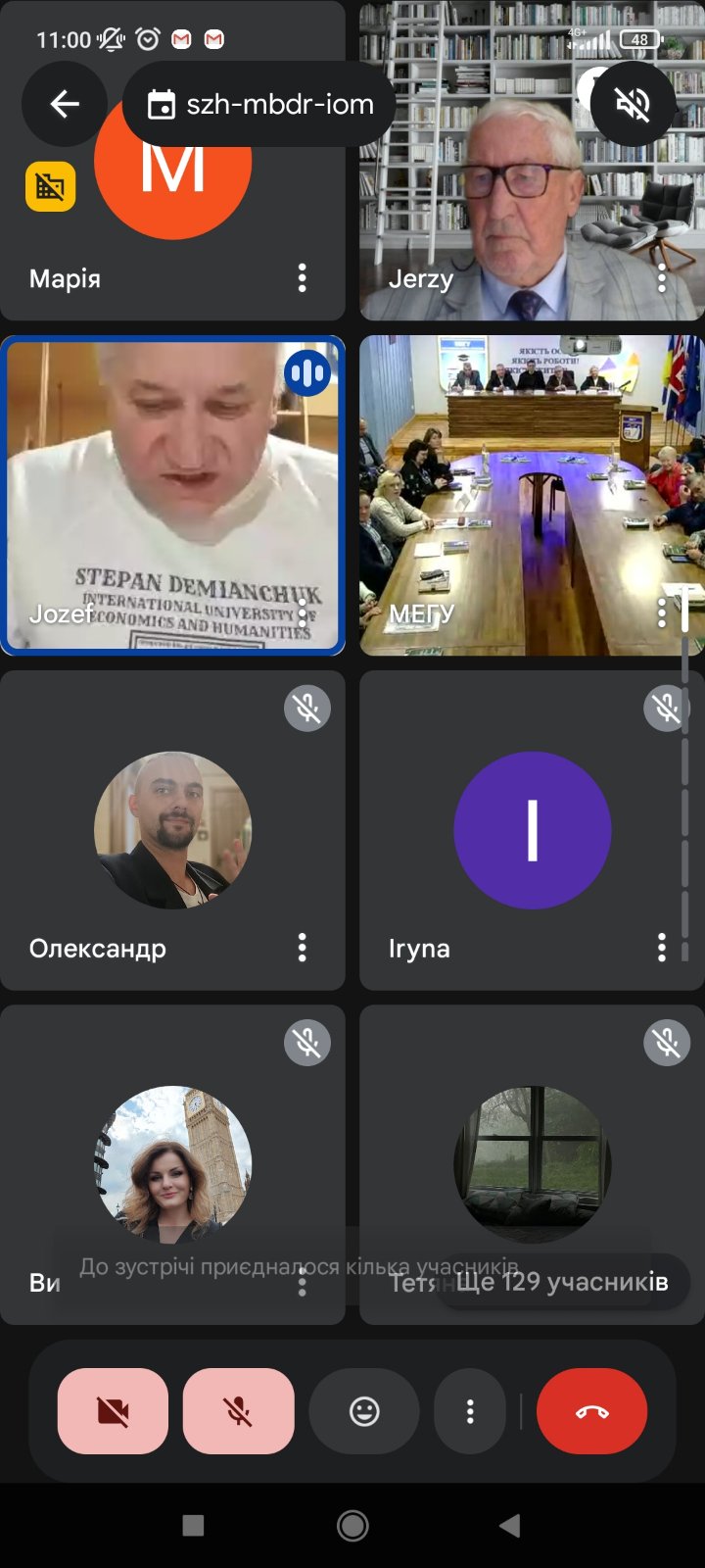 Голос Європи в МЕГУ