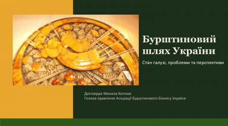 У межах «Простору молодого вченого» обговорили стан і перспективи бурштинового бізнесу